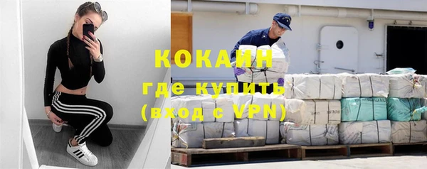шишки Армянск
