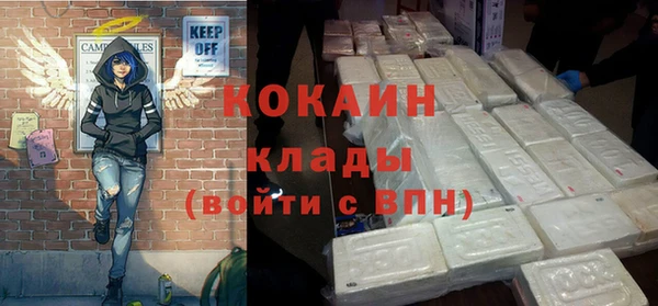 шишки Армянск